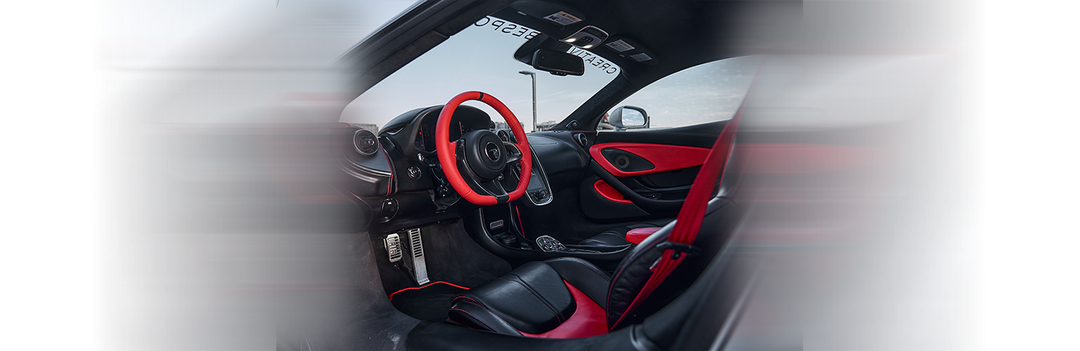 Steering Wheel Art Photo Gallery